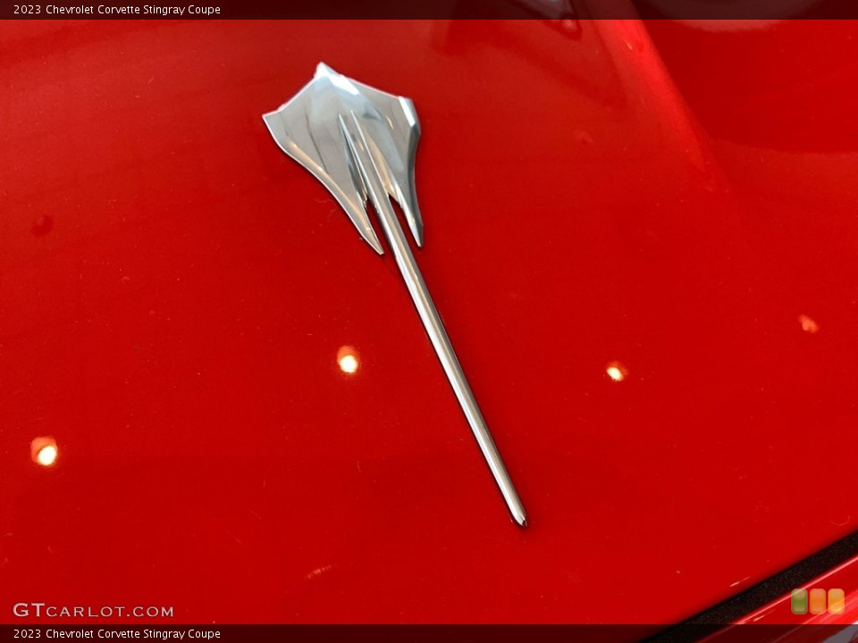 2023 Chevrolet Corvette Custom Badge and Logo Photo #146493675