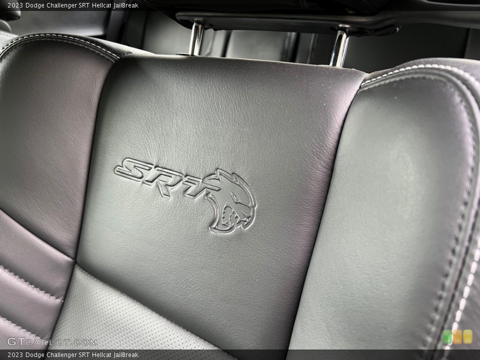 2023 Dodge Challenger Custom Badge and Logo Photo #146501806