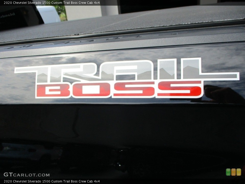 2020 Chevrolet Silverado 1500 Custom Badge and Logo Photo #146527135