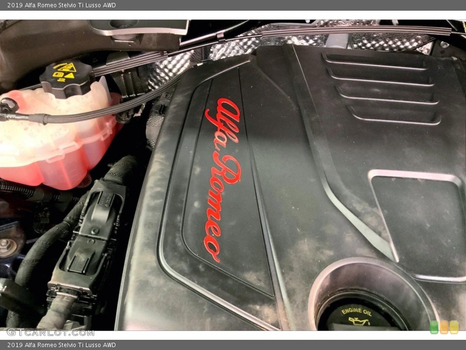 2019 Alfa Romeo Stelvio Custom Badge and Logo Photo #146663981