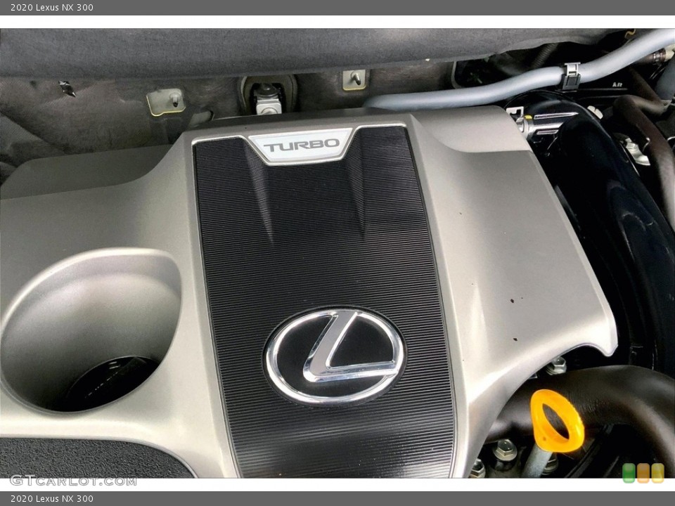 2020 Lexus NX Badges and Logos