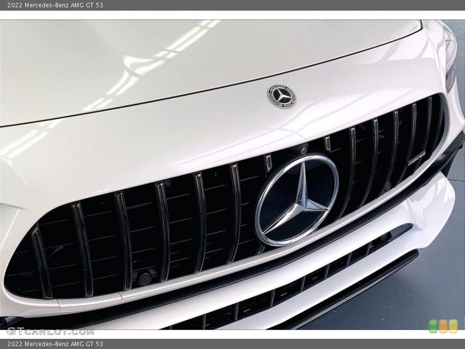 2022 Mercedes-Benz AMG GT Custom Badge and Logo Photo #146683433