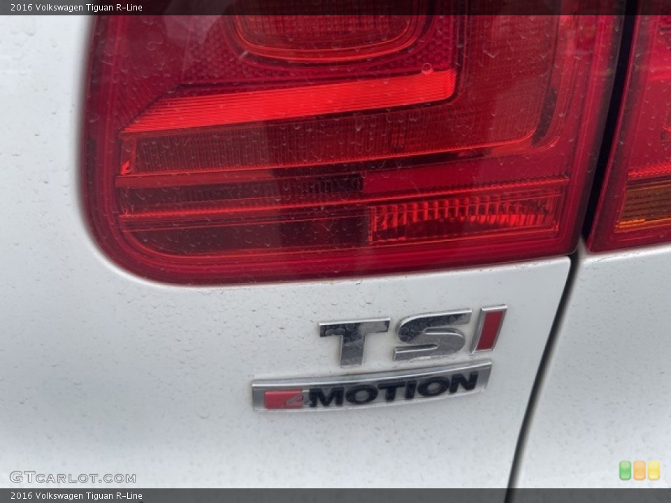 2016 Volkswagen Tiguan Custom Badge and Logo Photo #146685669
