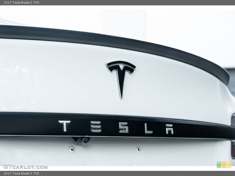 2017 Tesla Model S Custom Badge and Logo Photo #146720772