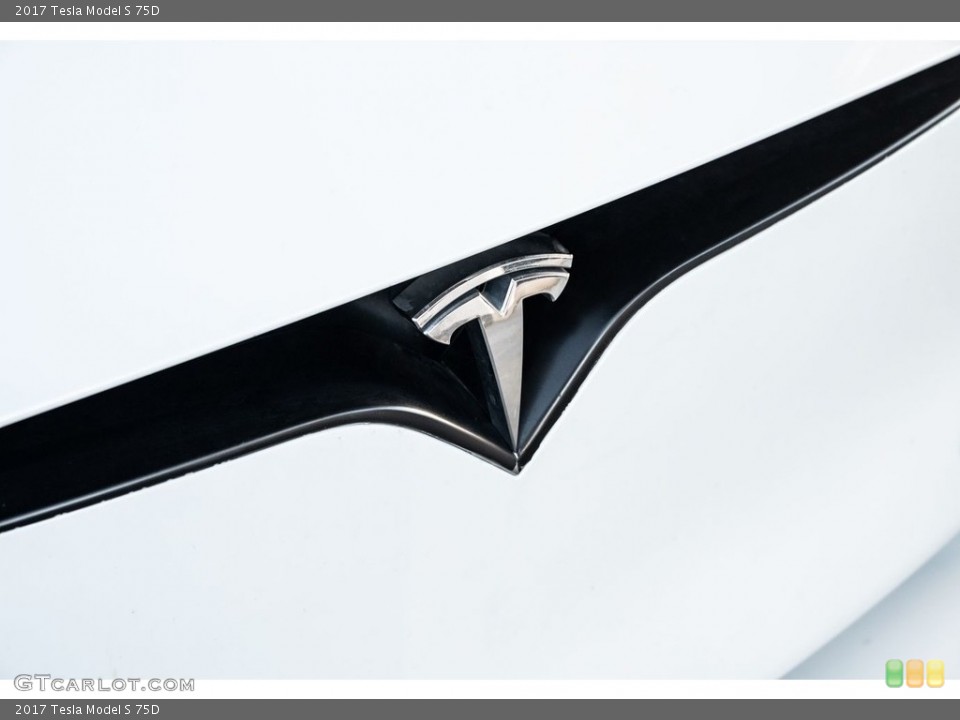 2017 Tesla Model S Custom Badge and Logo Photo #146720984
