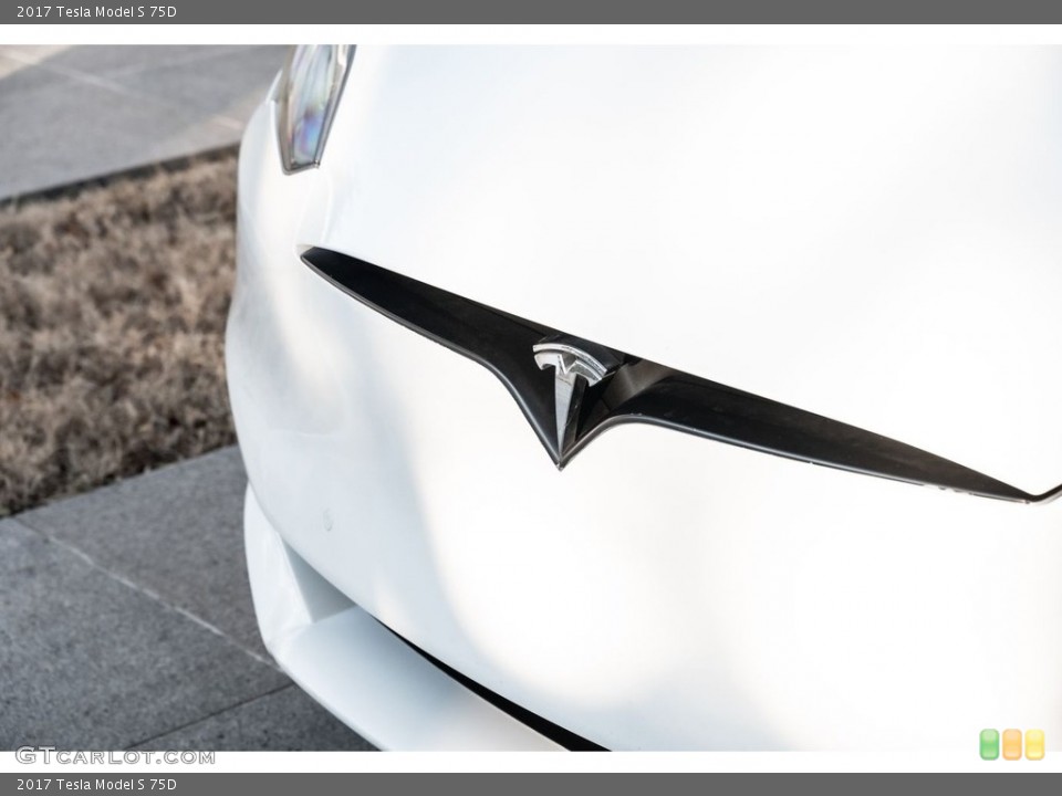 2017 Tesla Model S Custom Badge and Logo Photo #146721024