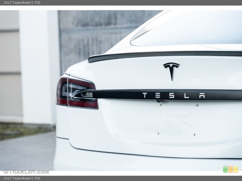 2017 Tesla Model S Custom Badge and Logo Photo #146721069