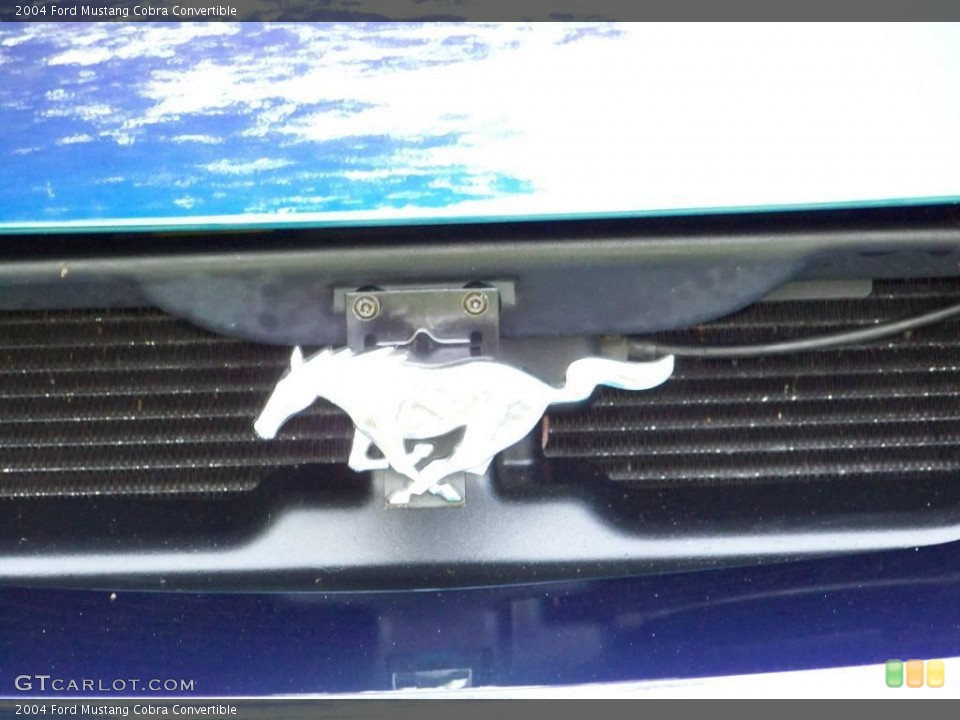 2004 Ford Mustang Custom Badge and Logo Photo #15439963