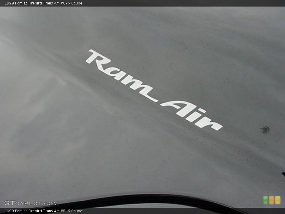 1999 Pontiac Firebird Custom Badge and Logo Photo #23872603