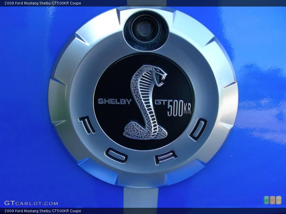 2009 Ford Mustang Custom Badge and Logo Photo #24799178