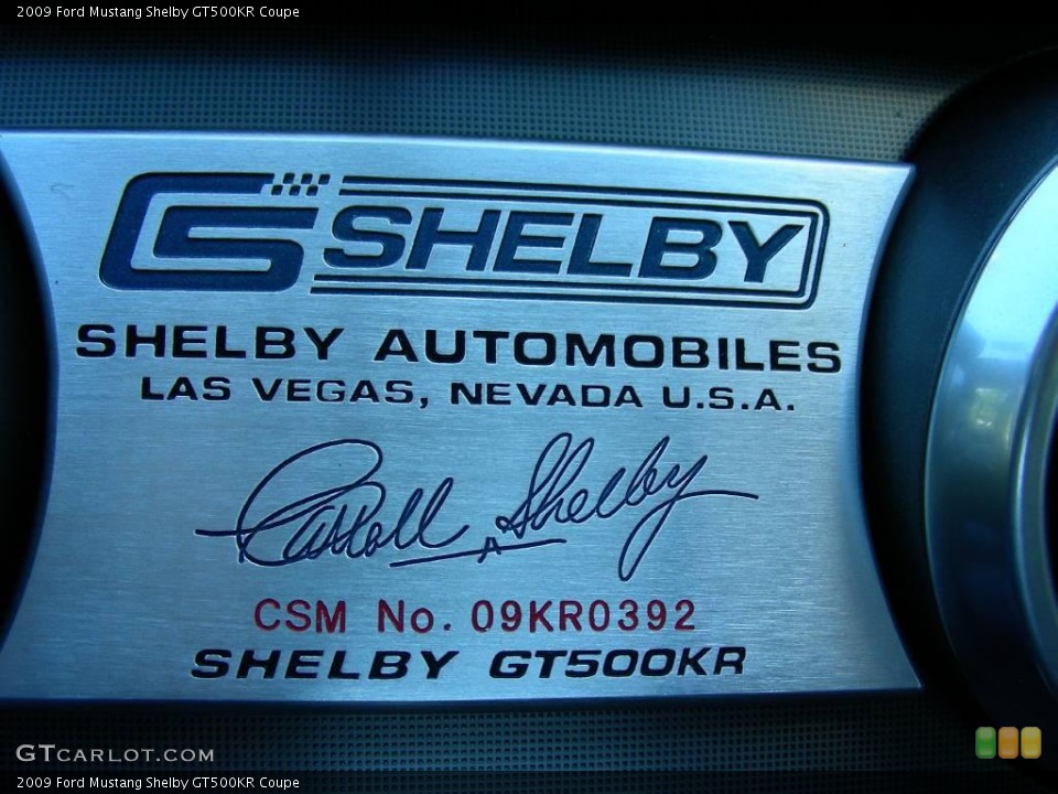 2009 Ford Mustang Custom Badge and Logo Photo #24799238
