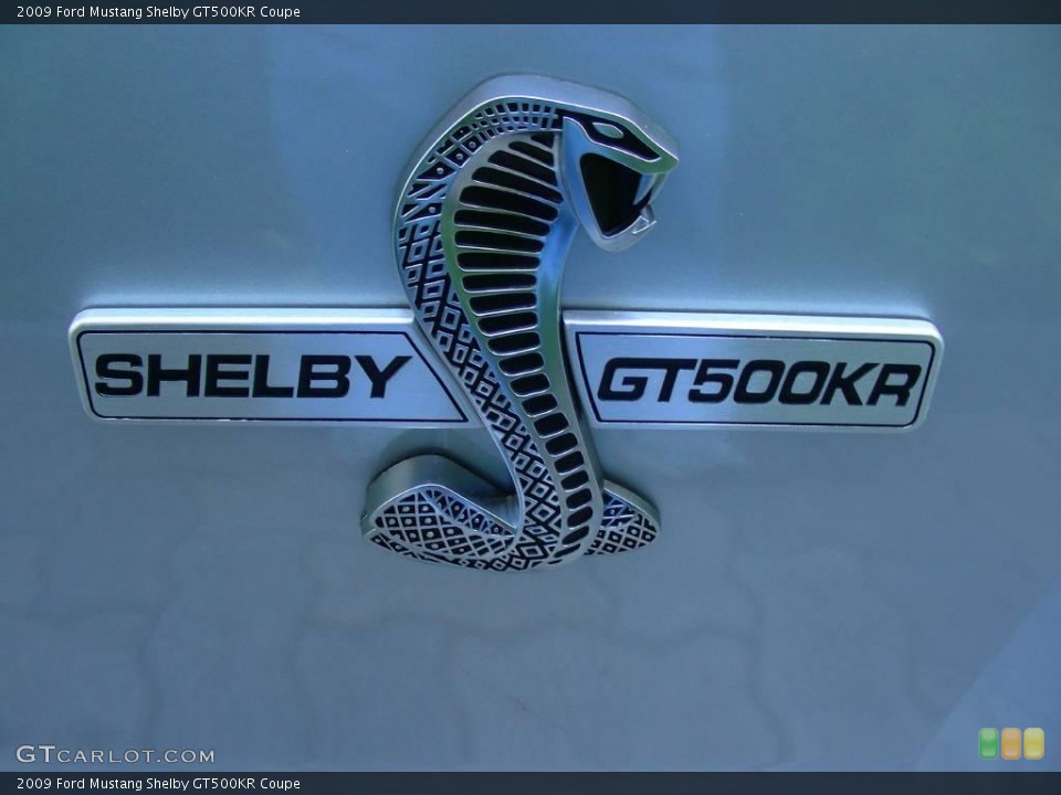 2009 Ford Mustang Custom Badge and Logo Photo #24799270