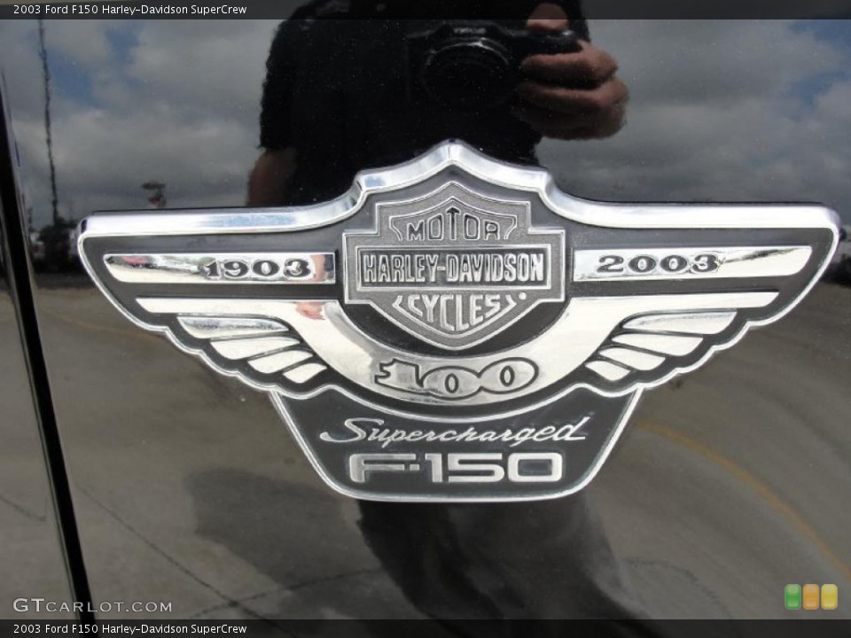 2003 Ford F150 Custom Badge and Logo Photo #28272938