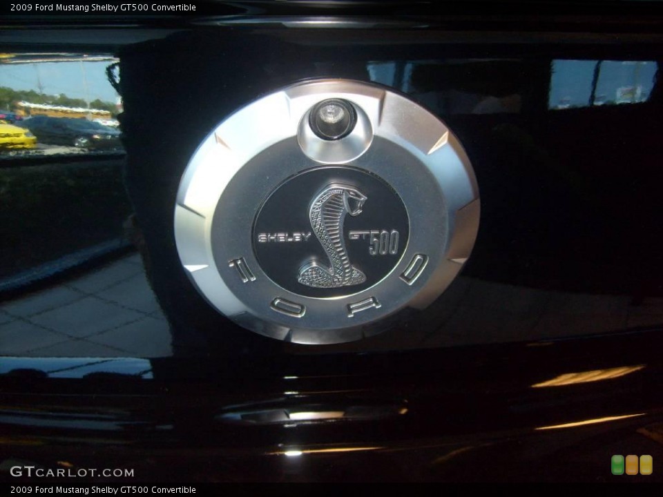 2009 Ford Mustang Custom Badge and Logo Photo #2842509