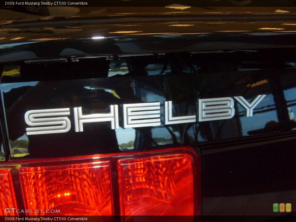 2009 Ford Mustang Custom Badge and Logo Photo #2842514