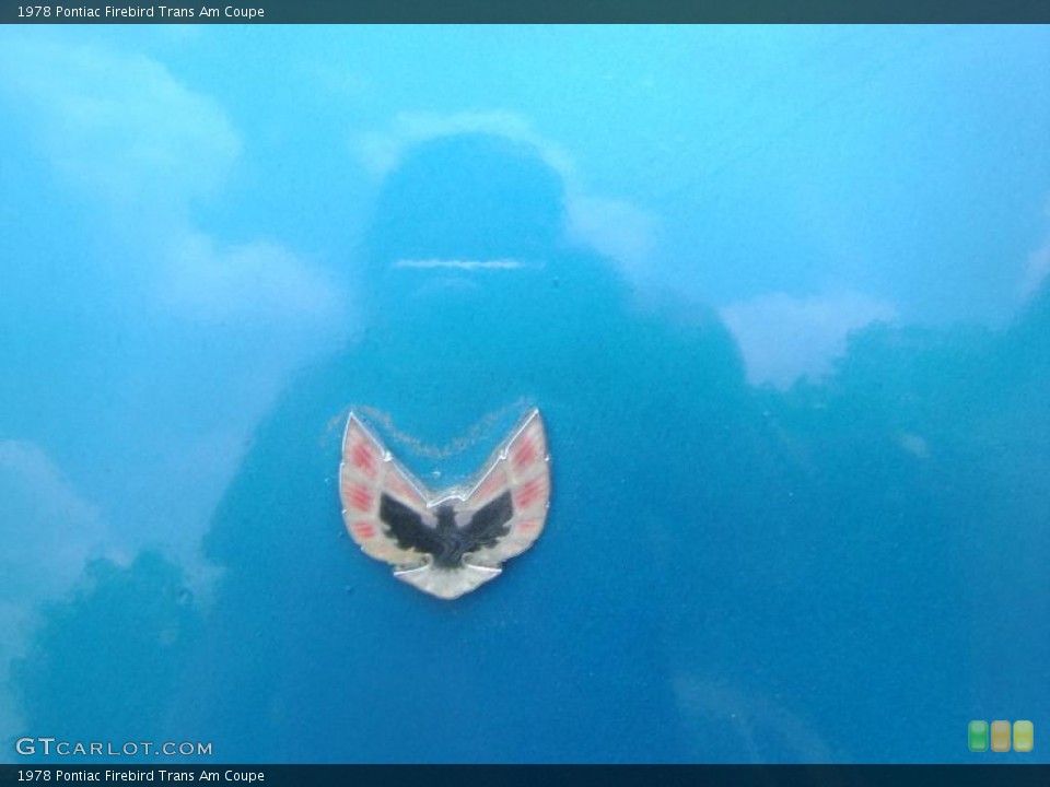 1978 Pontiac Firebird Custom Badge and Logo Photo #30135576