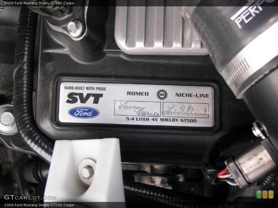 2009 Ford Mustang Custom Badge and Logo Photo #33731191