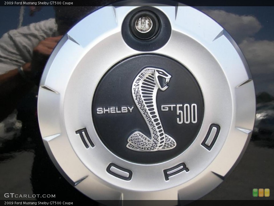 2009 Ford Mustang Custom Badge and Logo Photo #33731347