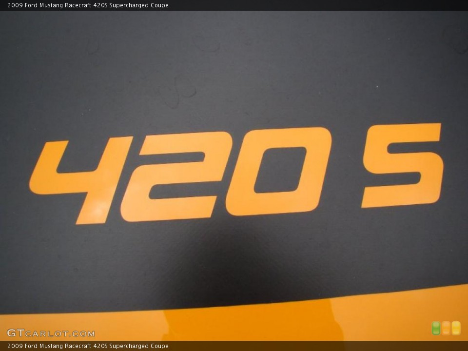 2009 Ford Mustang Custom Badge and Logo Photo #34992319