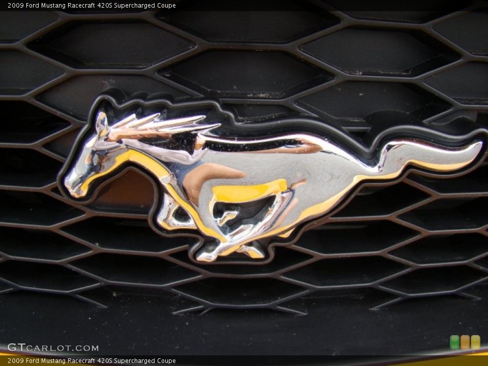 2009 Ford Mustang Custom Badge and Logo Photo #34992351