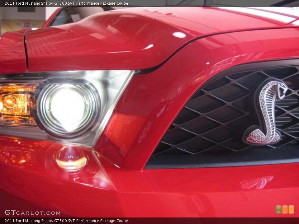 2011 Ford Mustang Custom Badge and Logo Photo #38209528