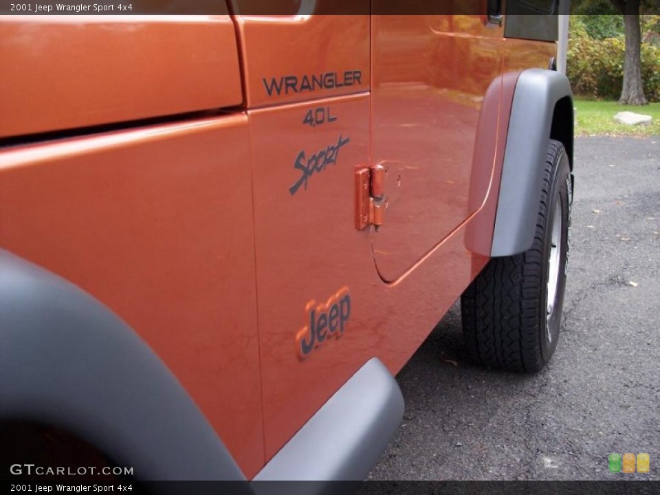2001 Jeep Wrangler Custom Badge and Logo Photo #38416605