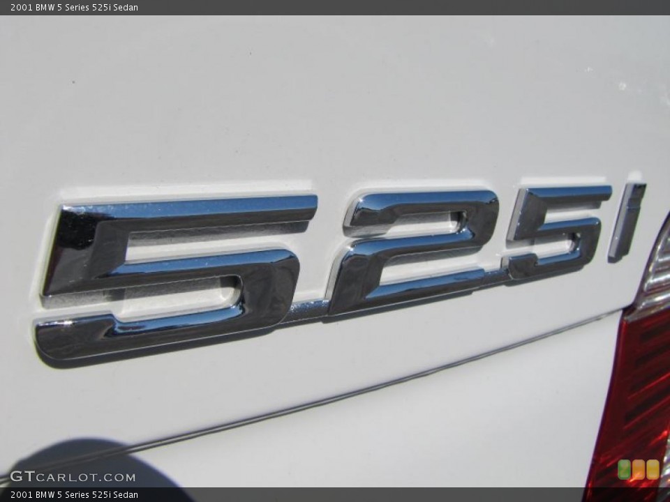 2001 BMW 5 Series Custom Badge and Logo Photo #38541479