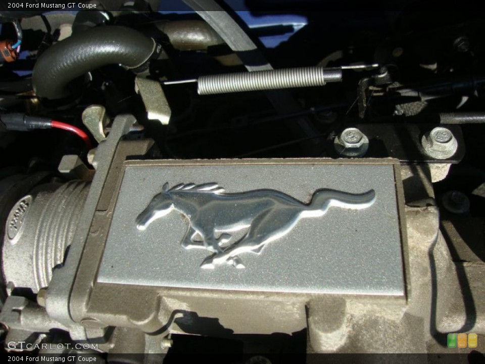 2004 Ford Mustang Custom Badge and Logo Photo #38807661