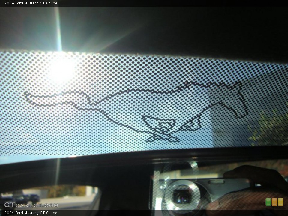 2004 Ford Mustang Custom Badge and Logo Photo #38807880