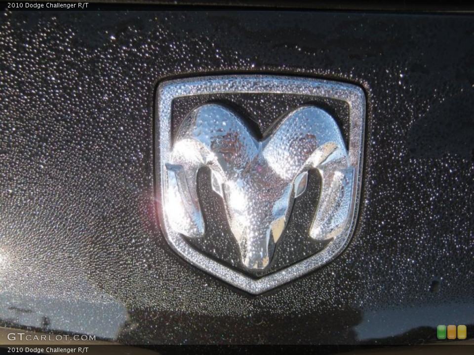 2010 Dodge Challenger Custom Badge and Logo Photo #39009575