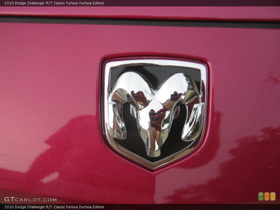 2010 Dodge Challenger Custom Badge and Logo Photo #39064463