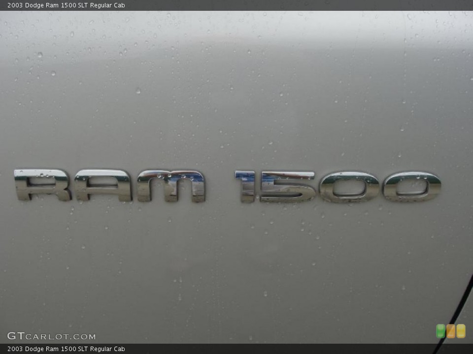 2003 Dodge Ram 1500 Custom Badge and Logo Photo #39103725