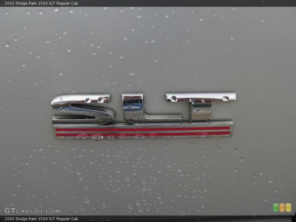 2003 Dodge Ram 1500 Custom Badge and Logo Photo #39103741