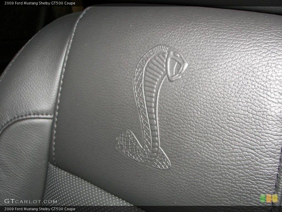 2009 Ford Mustang Custom Badge and Logo Photo #3925749