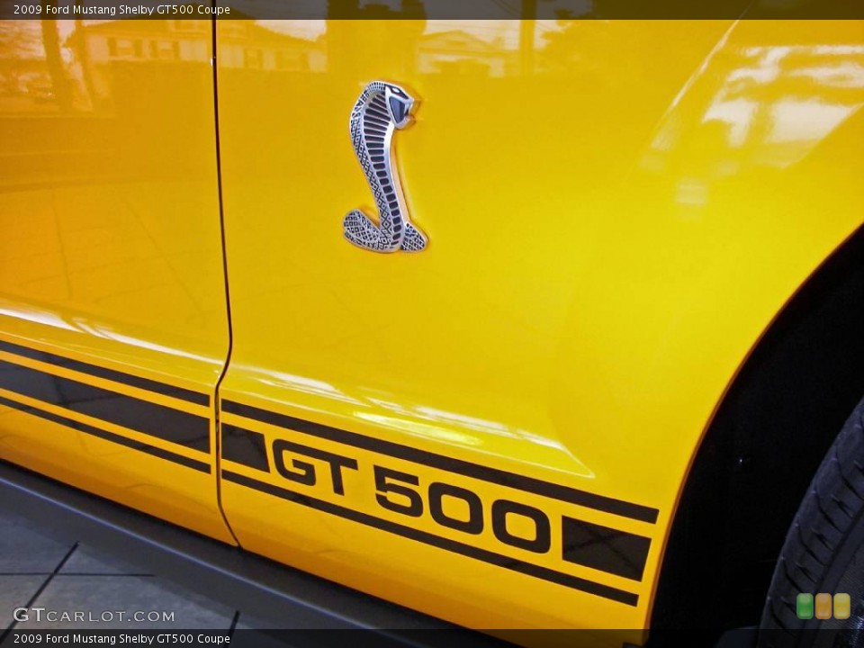 2009 Ford Mustang Custom Badge and Logo Photo #3925820