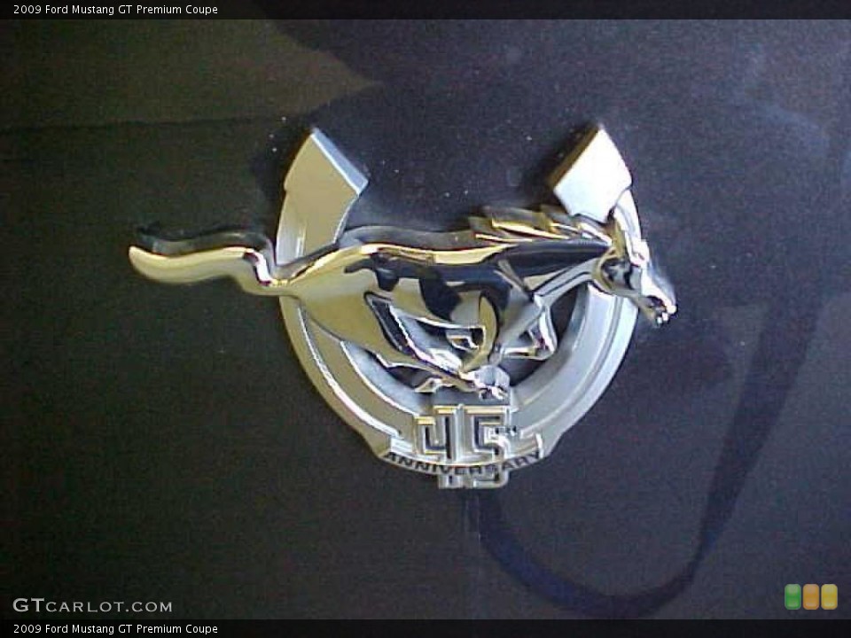 2009 Ford Mustang Custom Badge and Logo Photo #39324969