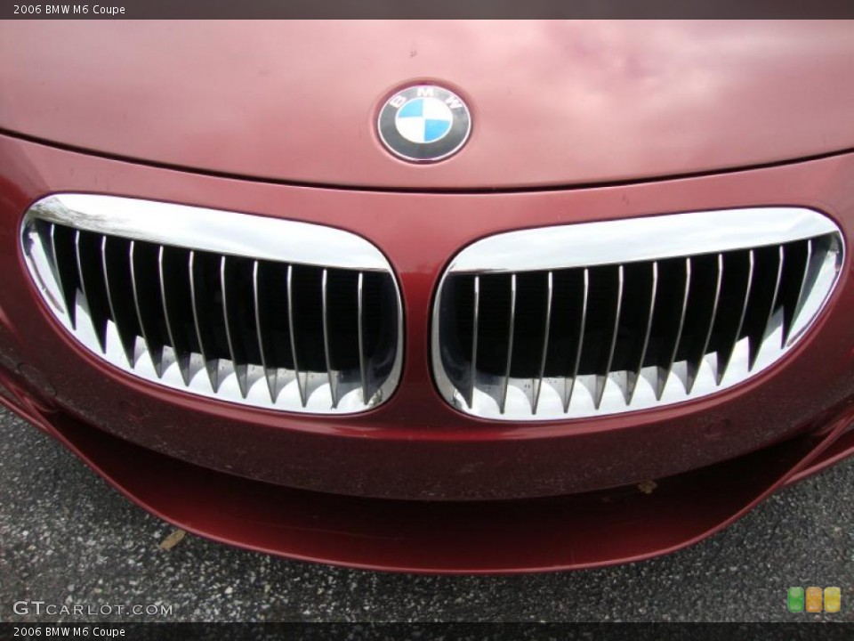 2006 BMW M6 Custom Badge and Logo Photo #39341188
