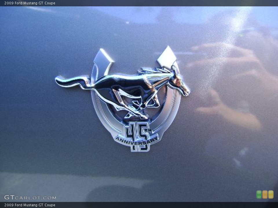 2009 Ford Mustang Custom Badge and Logo Photo #393837