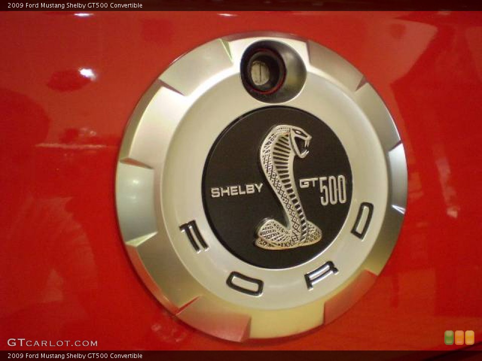 2009 Ford Mustang Custom Badge and Logo Photo #394796