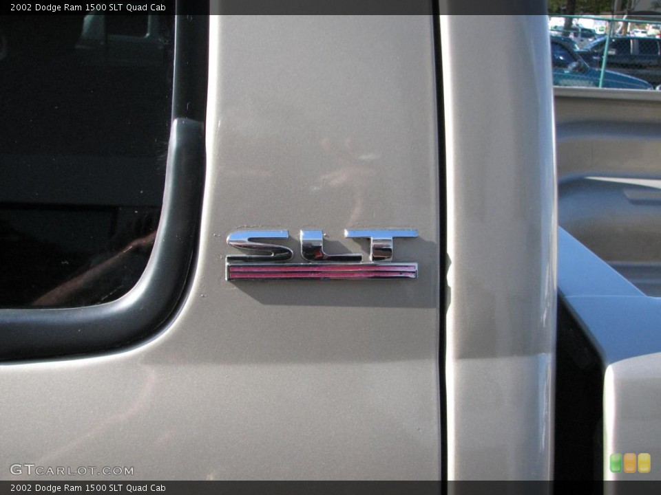 2002 Dodge Ram 1500 Custom Badge and Logo Photo #39834158