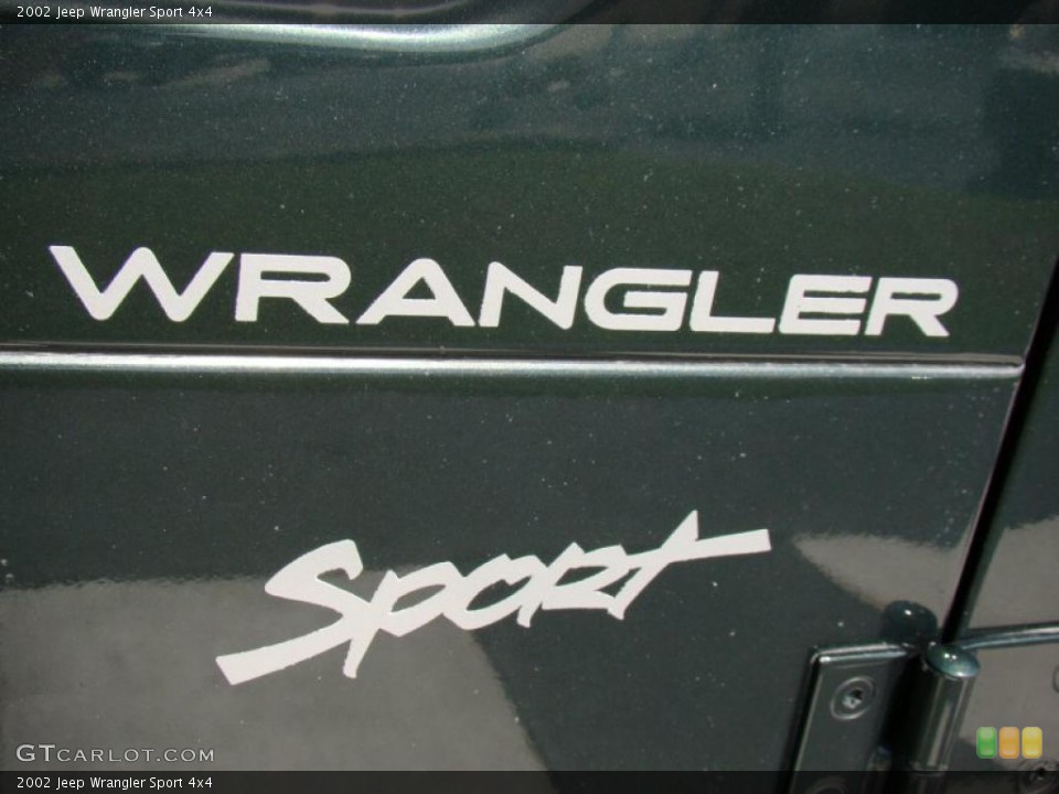2002 Jeep Wrangler Custom Badge and Logo Photo #39950858