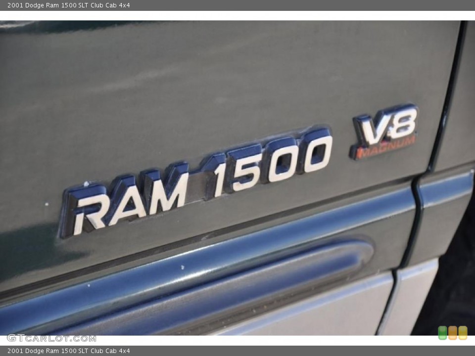 2001 Dodge Ram 1500 Custom Badge and Logo Photo #40303296