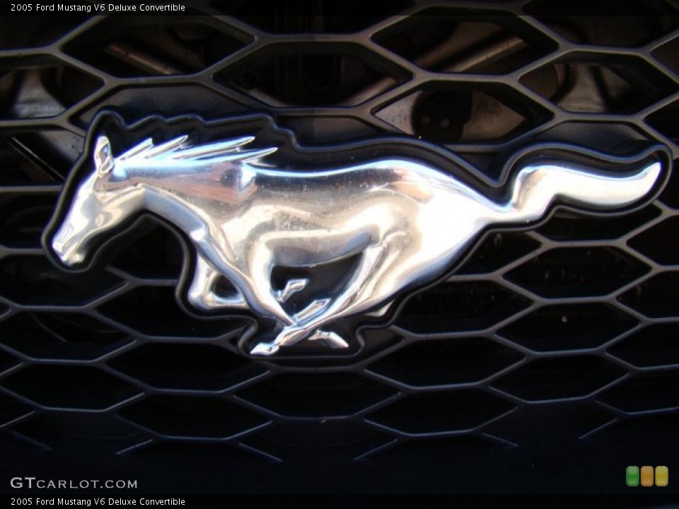 2005 Ford Mustang Custom Badge and Logo Photo #40312904