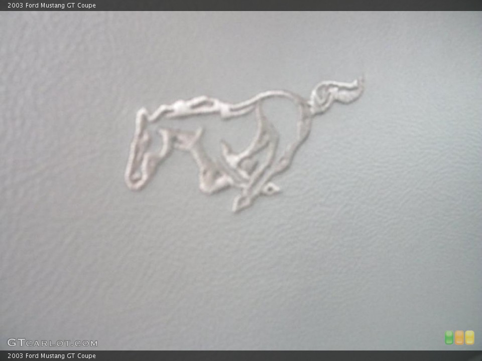 2003 Ford Mustang Custom Badge and Logo Photo #40577381