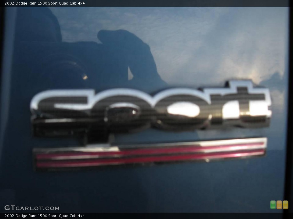 2002 Dodge Ram 1500 Custom Badge and Logo Photo #40635274