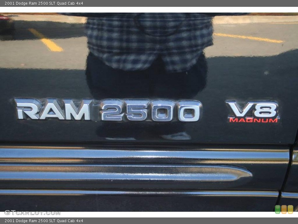 2001 Dodge Ram 2500 Custom Badge and Logo Photo #40650031