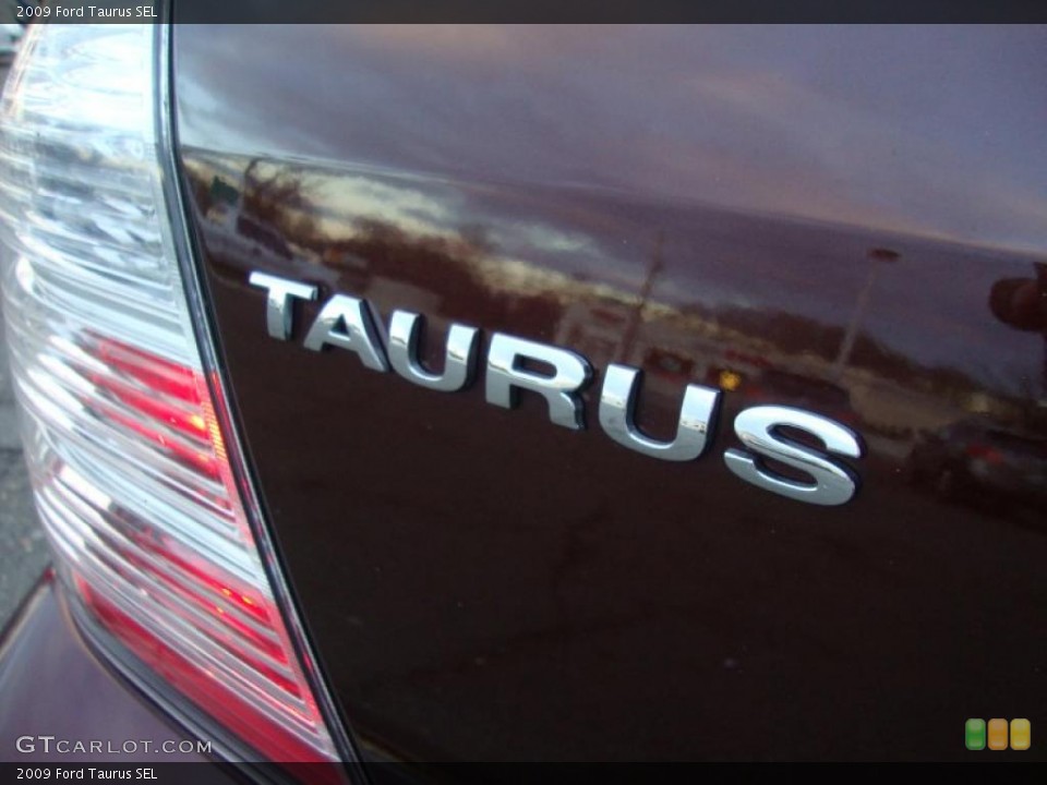 2009 Ford Taurus Custom Badge and Logo Photo #40957193