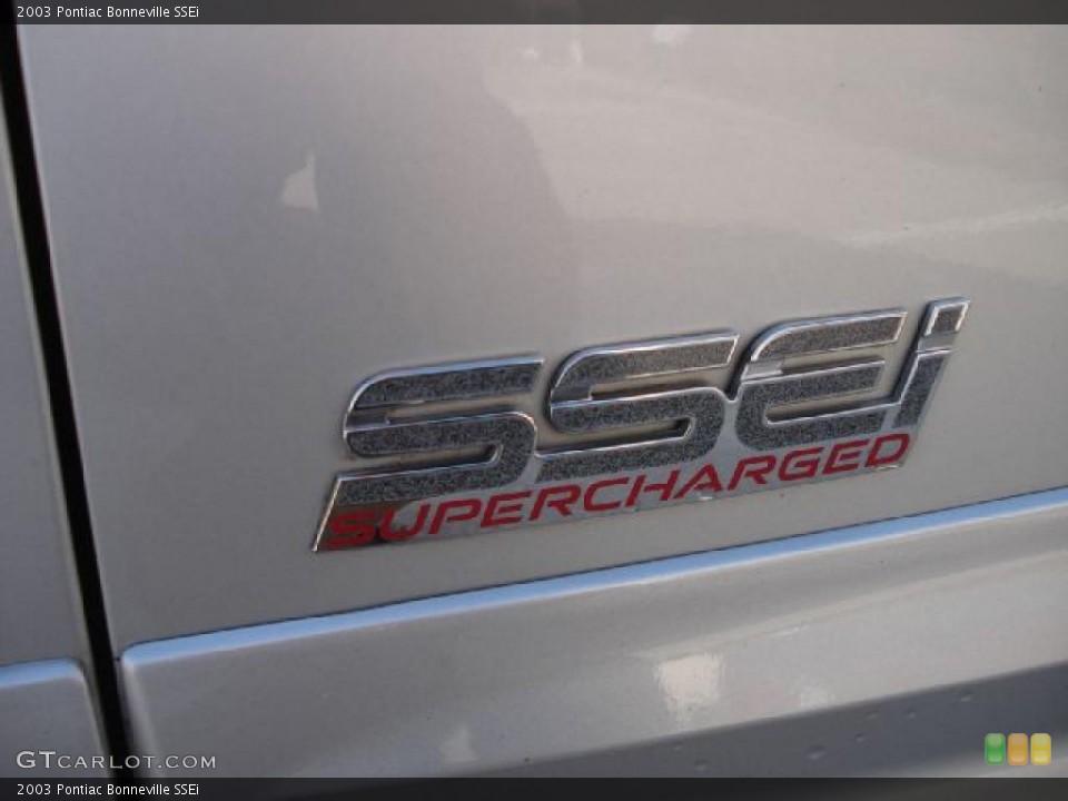 2003 Pontiac Bonneville Custom Badge and Logo Photo #41037120