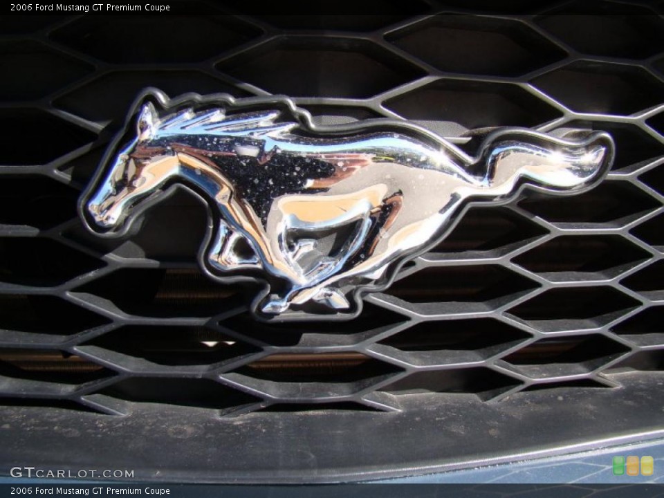 2006 Ford Mustang Custom Badge and Logo Photo #41202906
