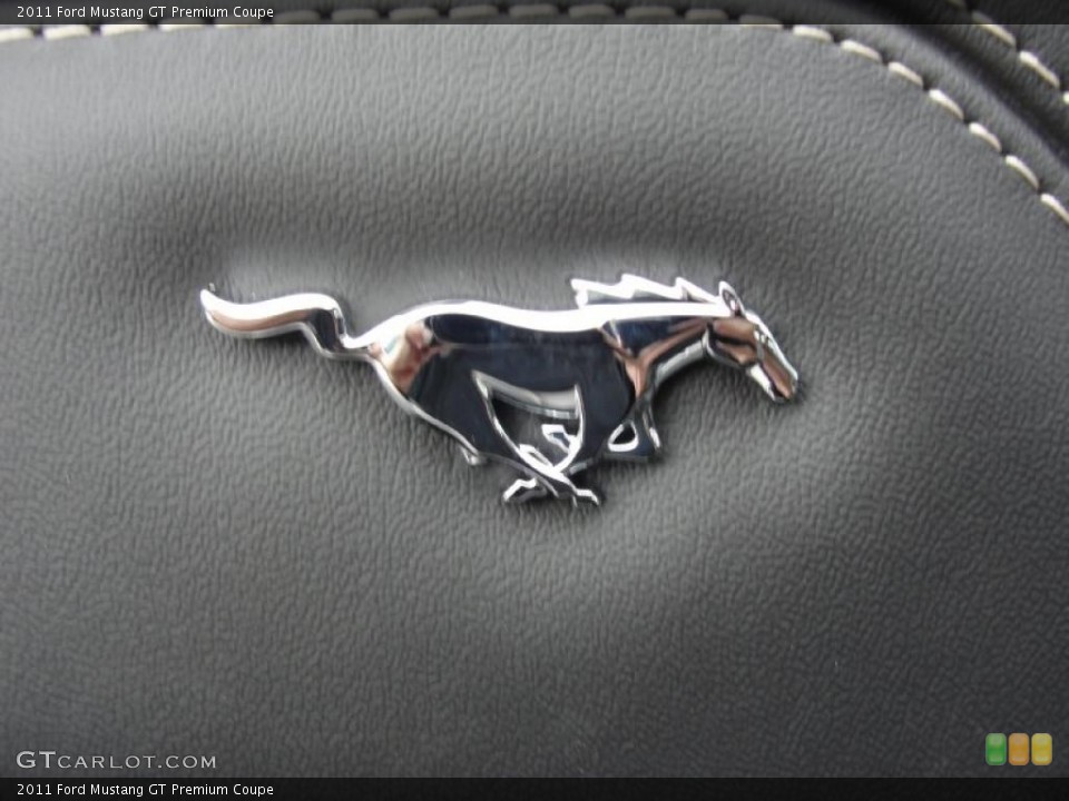 2011 Ford Mustang Custom Badge and Logo Photo #41213819